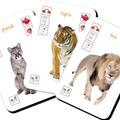 Copertă produs Animalele - gallery small 