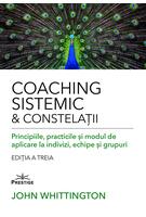 Imagine produs Coaching sistemic & constelații