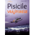 Copertă produs Pisicile vrăjitorese (Vol. 1)