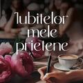Copertă produs Iubitelor mele prietene - gallery small 