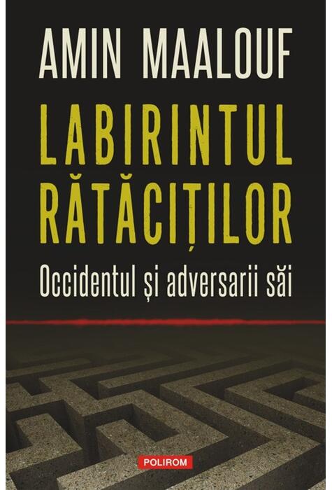 Copertă produs Labirintul rătăciţilor