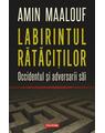 Copertă produs Labirintul rătăciţilor - thumb 1