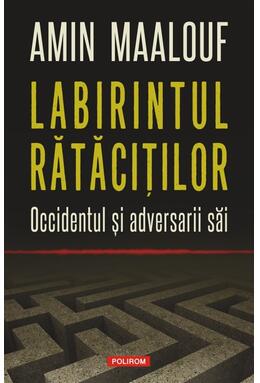 Copertă produs Labirintul rătăciţilor