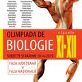 Copertă produs Olimpiada de Biologie Clasele XI - XII. Subiecte și bareme 2014-2019 - gallery small 
