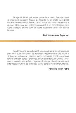 Copertă produs Profetul de la mare