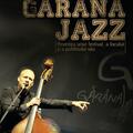 Copertă produs Găr&acirc;na Jazz (RESIGILAT) - gallery small 