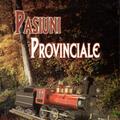 Copertă produs Pasiuni Provinciale (RESIGILAT) - gallery small 