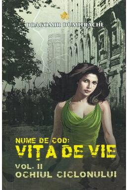 Copertă produs Ochiul ciclonului (Vol. 2)