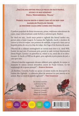 Copertă produs Carne de Piatră (Vol. 1)