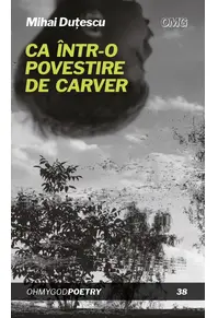 Ca într-o povestire de Carver