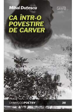 Copertă produs Ca &icirc;ntr-o povestire de Carver