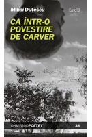 Ca &icirc;ntr-o povestire de Carver