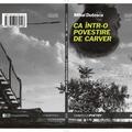 Copertă produs Ca &icirc;ntr-o povestire de Carver - gallery small 
