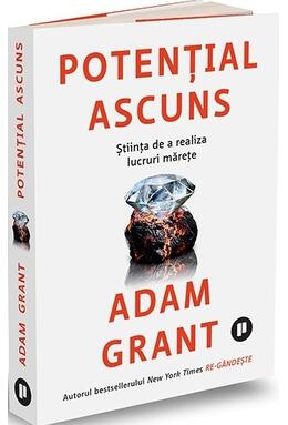 Copertă produs Potențial ascuns