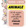 Copertă produs Cartonașe Bebe vede, Animale - gallery small 