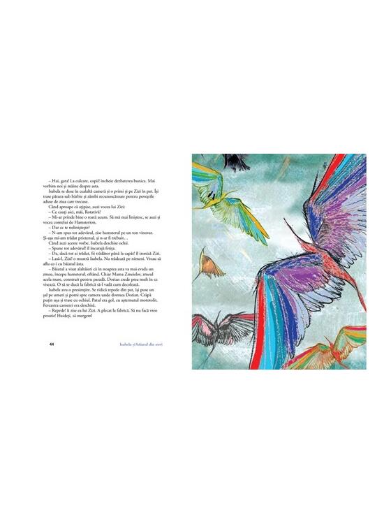 Copertă produs Isabela și băiatul din nori - gallery big 3