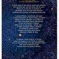 Copertă produs Momo - gallery small 