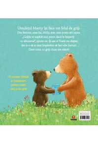 Copertă produs Ursulețul și cutia cu griji