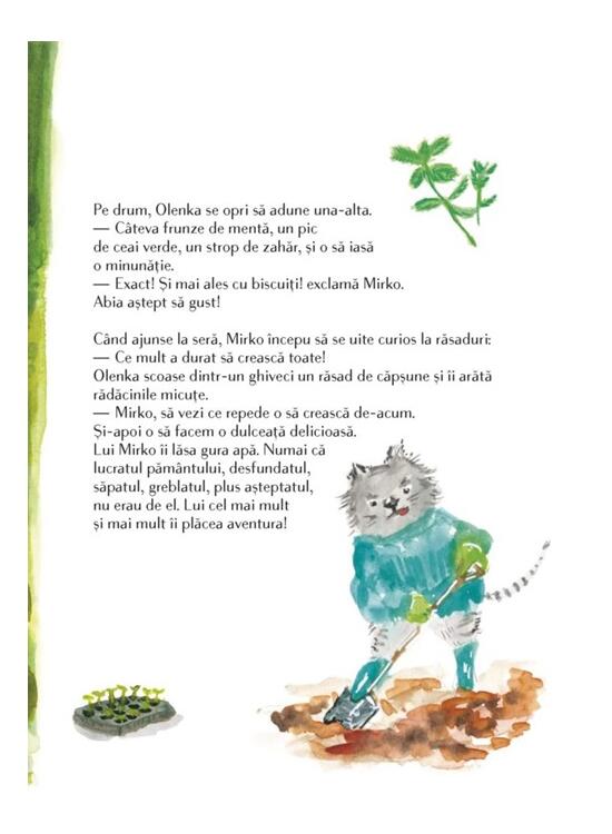 Copertă produs O vară cu Olenka - gallery big 7