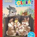 Copertă produs Disney Iepurași. Cartea mea de colorat cu autocolante - gallery small 