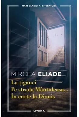 Copertă produs La țigănci