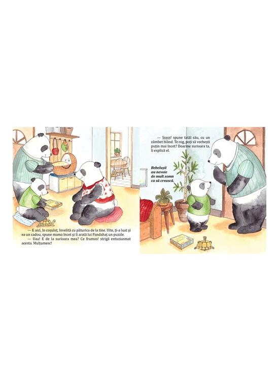Copertă produs Pandahaț are o surioară - gallery big 4