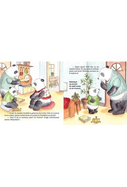 Copertă produs Pandahaț are o surioară