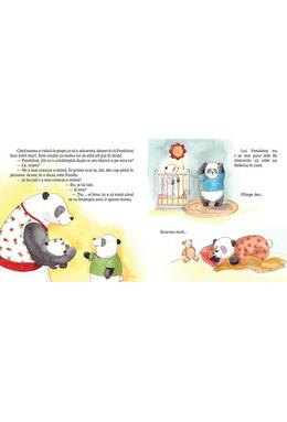 Copertă produs Pandahaț are o surioară