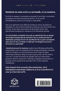 Copertă produs Destinul ascuns &icirc;n numere