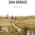 Copertă produs Țara br&acirc;nzei - gallery small 