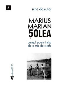Copertă produs Lungul poem haiku de o mie de strofe