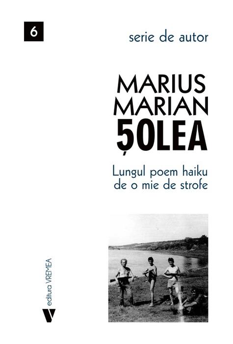 Copertă produs Lungul poem haiku de o mie de strofe
