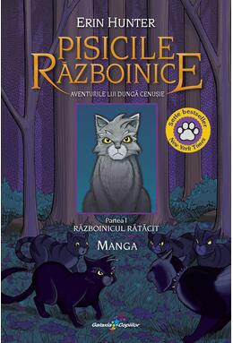 Copertă produs Aventurile lui Dungă Cenușie &ndash; Războinicul rătăcit (Vol. 1)