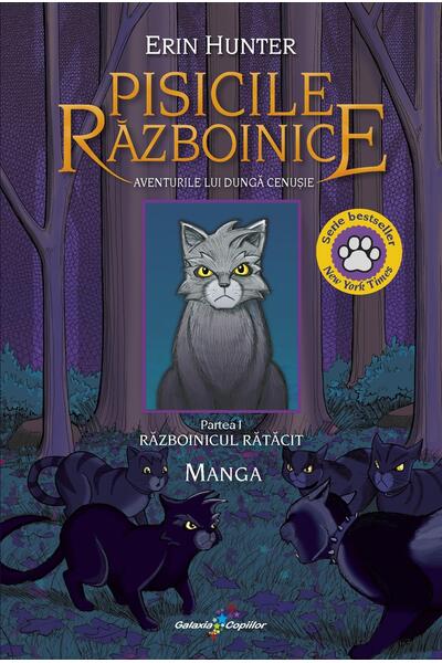 Aventurile lui Dungă Cenușie &ndash; Războinicul rătăcit (Vol. 1)