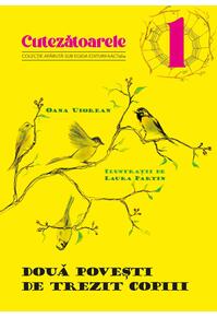 Copertă produs Două povești de trezit copiii