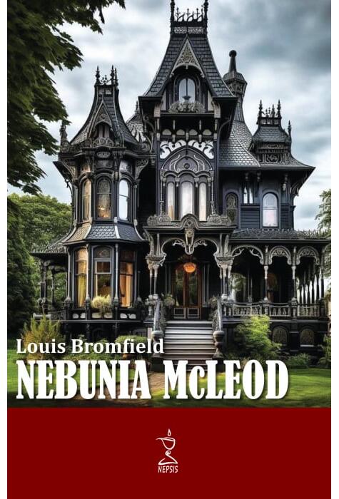 Copertă produs Nebunia McLeod