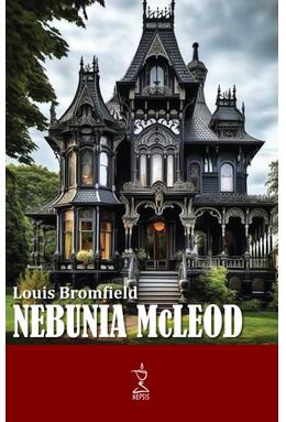 Copertă produs Nebunia McLeod