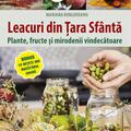 Copertă produs Leacuri din Țara Sf&acirc;ntă - gallery small 