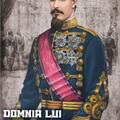 Copertă produs Domnia lui Cuza Voda - gallery small 