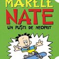 Copertă produs Pachet Seria Marele Nate (incomplet) - gallery small 