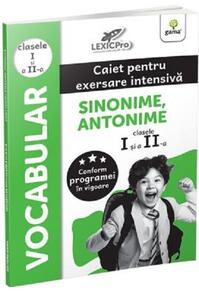 Copertă produs Vocabular - Sinonime, Antonime. Caiet pentru exersare intensivă. Clasele I și a II-a