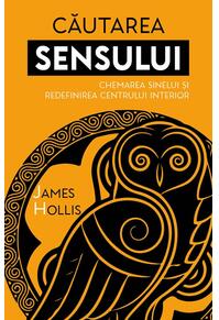 Copertă produs Căutarea sensului