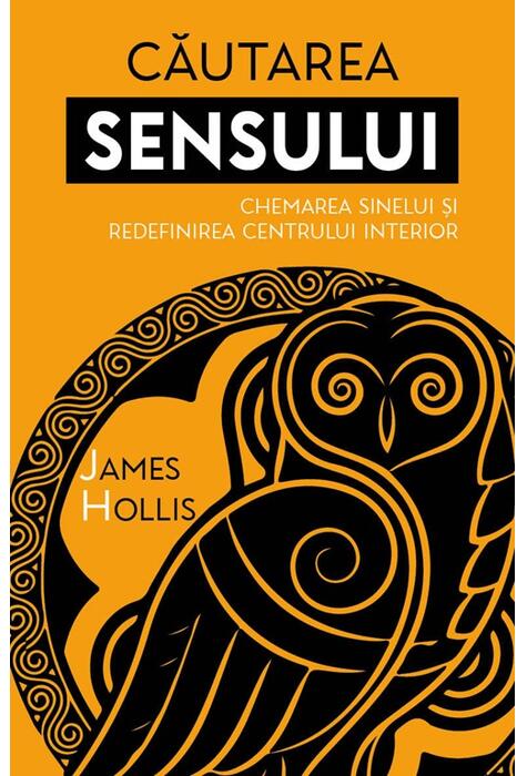 Copertă produs Căutarea sensului