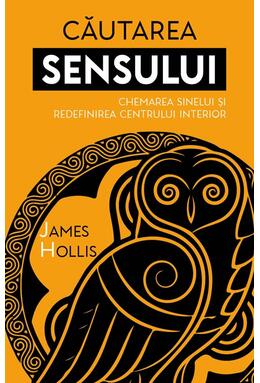 Copertă produs Căutarea sensului