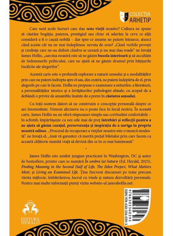 Copertă produs Căutarea sensului - gallery big 2