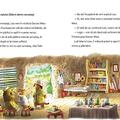 Copertă produs Doctor Miez - Aventura cercetașilor - gallery small 