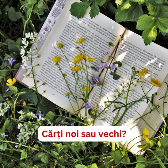 Cărți Vechi sau Noi? O Alegere &icirc;ntre Tradiție și Modernitate
