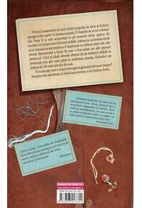 Copertă produs Fabuloasa poveste a lui Joshua Perle