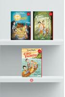 Copertă produs Pachet Seria Cei cinci faimoși