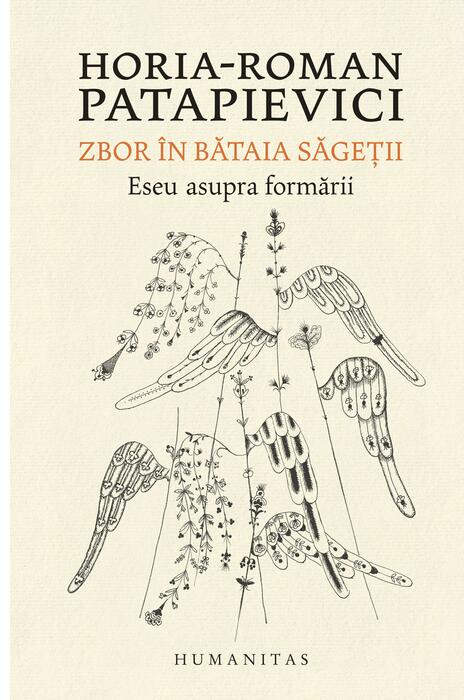 Copertă produs Zbor &icirc;n bătaia săgeţii